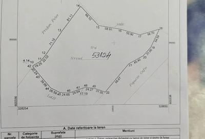 Teren de 40000 mp, în Bulz