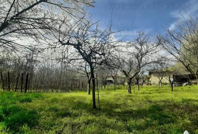 Spațiu comercial, în Sânandrei - 1