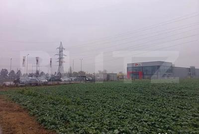 Teren de 15000 mp, în Păulești - 4