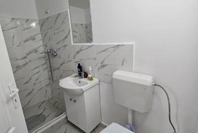 Casă individuală cu 2 camere cu Teren 196 Mp în Dâmbovița - 4
