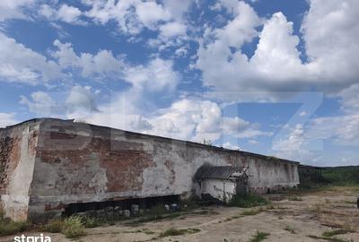 Teren de 8000 mp, în Dragomirești - 2