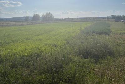 Teren Construcții intravilan de 2090 mp, în Filiași