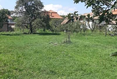 Casă cu 3 camere în Luna