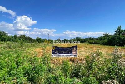 Teren de 7500 mp, în Ogrezeni