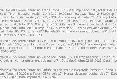 Teren de 20000 mp, în Central - 1
