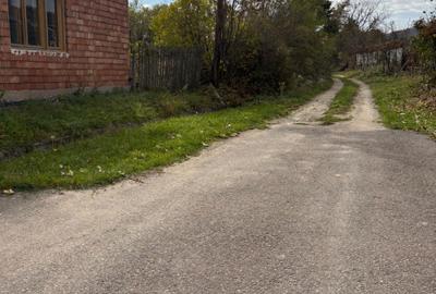 Teren de 9000 mp, în Sârbești - 6