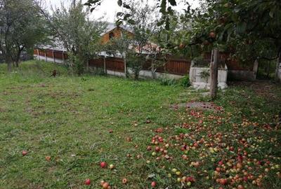 Casă individuală cu 7 camere cu Canalizare în Liceul Militar - 22