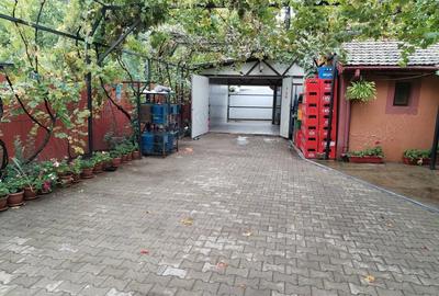 Spațiu comercial, de 200 mp, în Burila Mică - 4