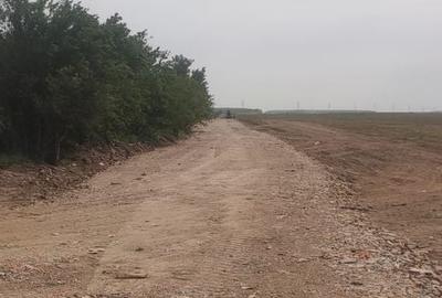 Teren Construcții intravilan de 5000 mp, în Tânganu - 3