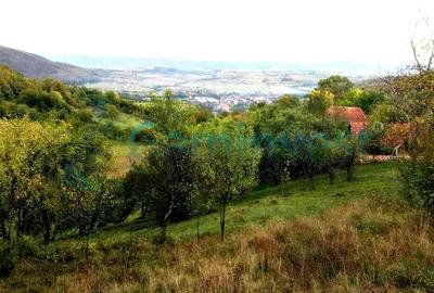 Teren agricol intravilan de 1400 mp, în Șuncuiuș - 1