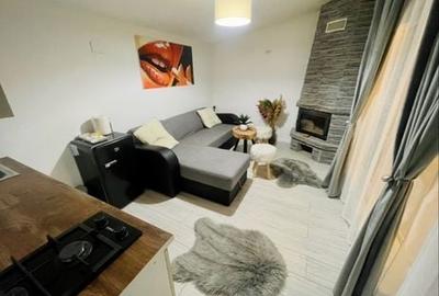 Casă cu 2 camere în Arefu - 4