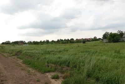 Teren de 10100 mp, în Tâncăbești - 3