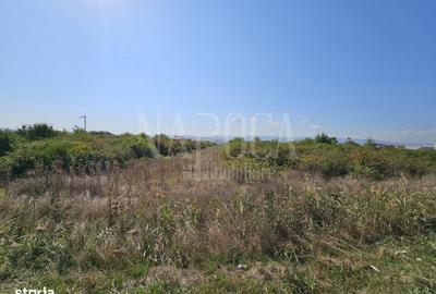 Spațiu comercial, în Industrial - 3