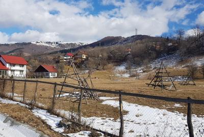 Teren Construcții intravilan de 10200 mp, în Valea Doftanei - 1