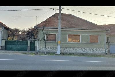 Casă cu Teren 2800 Mp în Central - 3