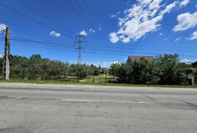 Teren Construcții intravilan de 1500 mp, în Calea Moldovei - 2