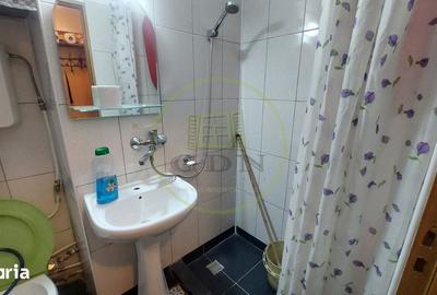 Apartament cu 2 camere semidecomandat, mobilat în Craiovița Nouă