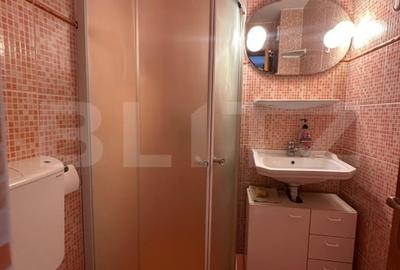 Apartament cu 4 camere decomandat, mobilat în Noua - 12