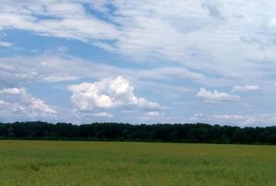 Teren agricol extravilan de 21000 mp, în Moara Vlăsiei