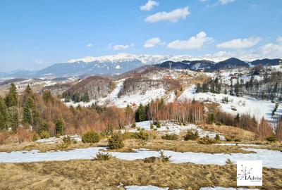 Teren Construcții extravilan de 150000 mp, în Șirnea - 30