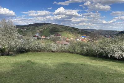 Teren de 5000 mp, în Sud