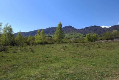 Teren de 500 mp, în Predeluț - 2