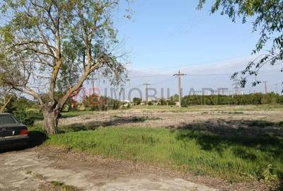 Teren de 25000 mp, în Călacea