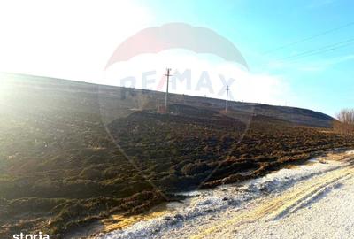 Teren de 4956 mp, în Calea Bârladului - 8