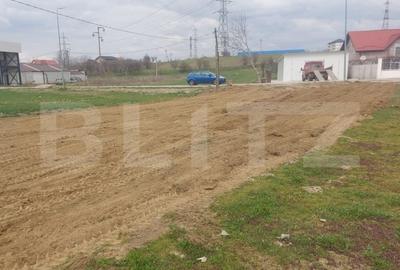 Spațiu comercial, în Ișalnița
