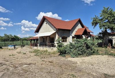 Casă cu Teren 1459 Mp în Central