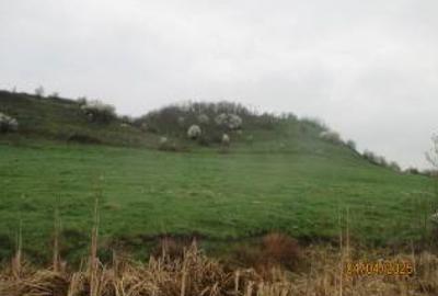 Teren agricol extravilan de 5900 mp, în Hălchiu - 3