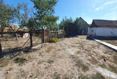 Casă cu 3 camere în Terebești
