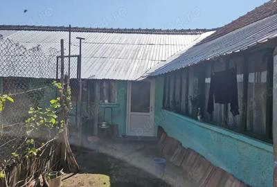 Casă cu 5 camere cu Teren 3937 Mp în Ianca - 13