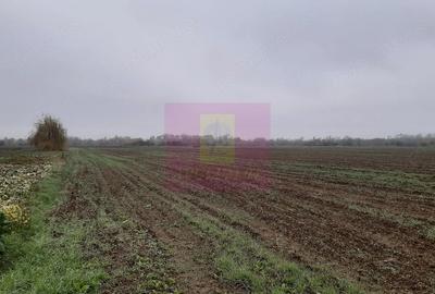Teren de 2250 mp, în 1 Decembrie