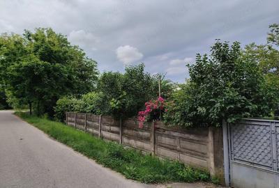 Casă cu 2 camere cu Teren 2500 Mp în Peșteana