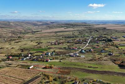 Teren agricol extravilan de 2138 mp, în Iris - 2