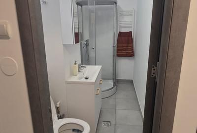 Garsonieră decomandată în Vitan - 11