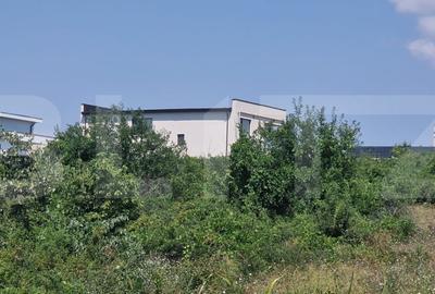 Teren Construcții intravilan de 9600 mp, în Cârcea