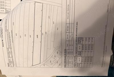 Casă cu 3 camere cu Teren 8000 Mp în Brebeni - 2