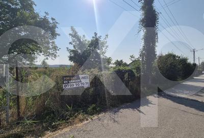 Teren Construcții intravilan de 3151 mp, în Bascov - 2