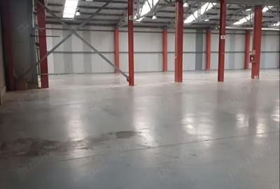Spațiu comercial, de 4,250 mp, în IAR - 3