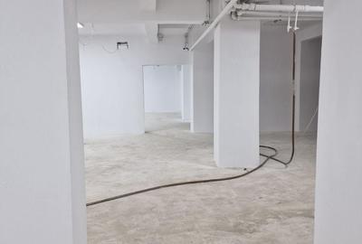 Spațiu comercial, de 360 mp, în Cișmigiu - 2