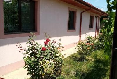 Casă cu Teren 1388 Mp în Dragalina - 2