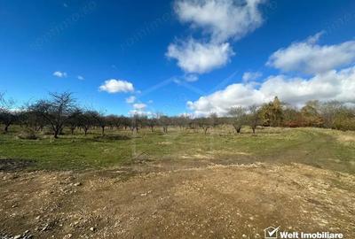 Teren de 4750 mp, în Central - 2