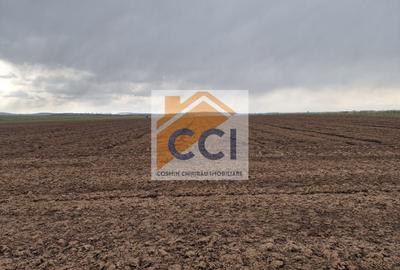 Teren agricol intravilan de 10000 mp, în Vest - 5