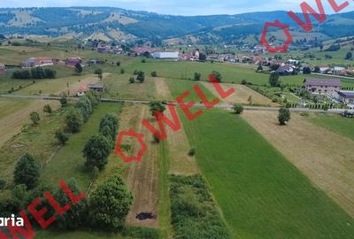 Teren de 2400 mp, în Barcani - 8