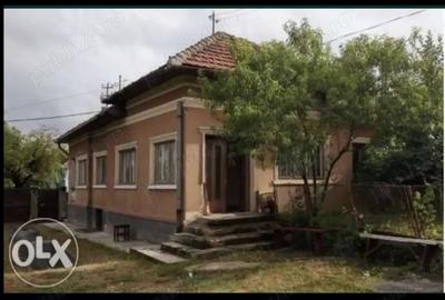 Casă cu 3 camere cu Teren 2523 Mp în Josani - 7