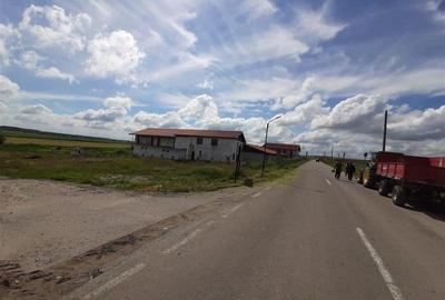 Teren Construcții intravilan de 2000 mp, în Murighiol - 10