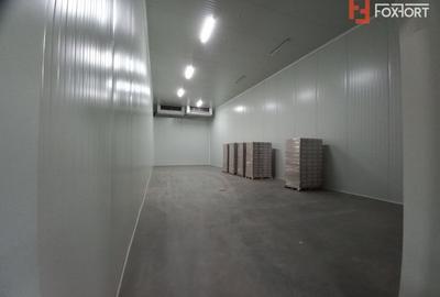 Spațiu industrial, de 572 mp, în Freidorf - 7