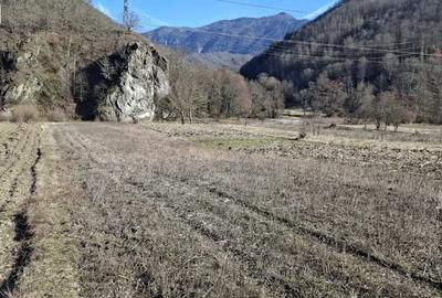 Teren de 2800 mp, în Călinești - 1